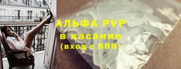 сатива Козловка