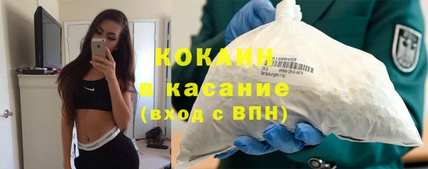 шишки Костерёво