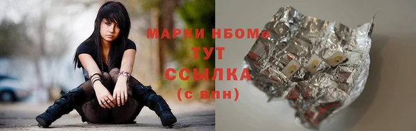 сатива Козловка