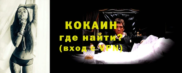 ГАЛЛЮЦИНОГЕННЫЕ ГРИБЫ Кодинск