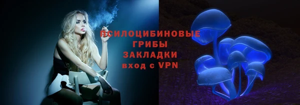 сатива Козловка