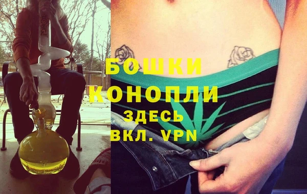 ГАЛЛЮЦИНОГЕННЫЕ ГРИБЫ Кодинск