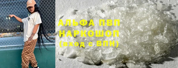 ГАЛЛЮЦИНОГЕННЫЕ ГРИБЫ Кодинск