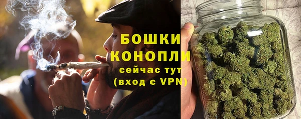 шишки Костерёво