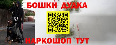 PSILOCYBIN Балахна