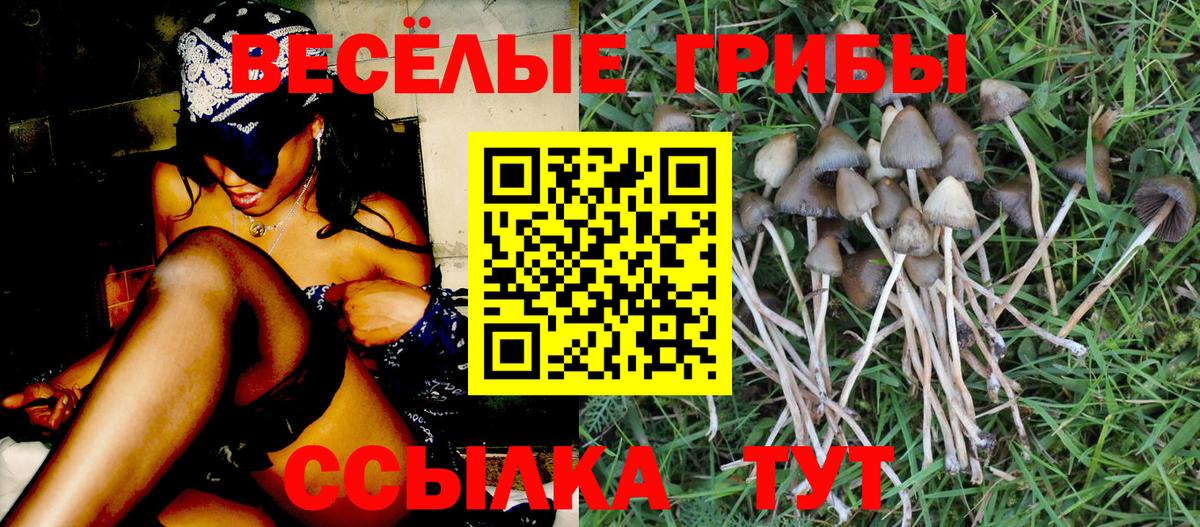 Псилоцибиновые грибы мицелий Белорецк