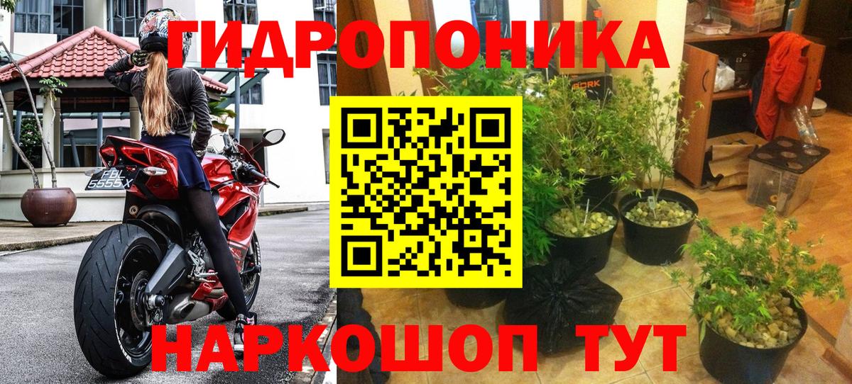 Конопля сатива  Канабис MAZAR  Вход с VPN  Белорецк 
